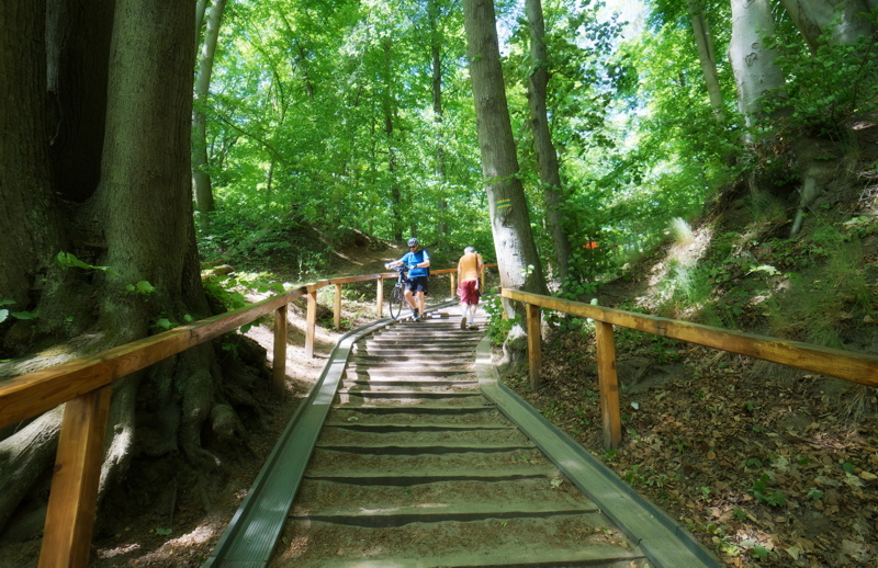20 Scenic outdoor location featuring a wooden staircase hiking trail
